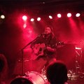 Follow Friday: Mighty Oaks